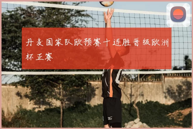 丹麦国家队欧预赛十连胜晋级欧洲杯正赛