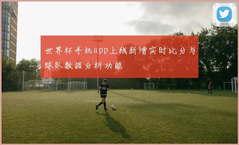 世界杯手机app上线新增实时比分与球队数据分析功能
