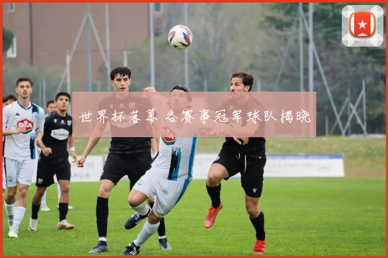 世界杯落幕 各赛事冠军球队揭晓