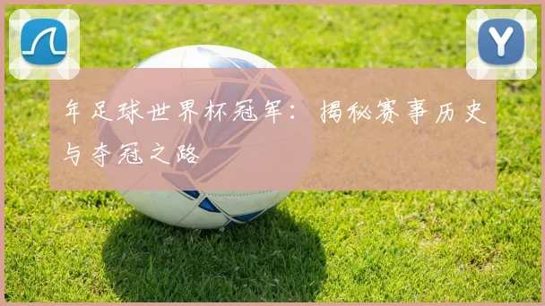 年足球世界杯冠军：揭秘赛事历史与夺冠之路